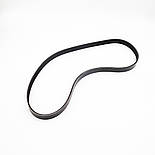 Ремінь генератора ГАЗ 3302 Газель ЗМЗ-406)16V поліклинові LSA LA 6РК1230, фото 3