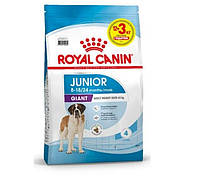 Сухой корм Royal Canin Giant Junior для щенков гигантских пород старше 8 месяцев, 15 кг