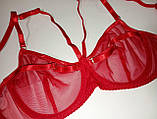 Жіноча білизна в червону прозору сітку з регуляторами, еротична спідня білизна в сіточку, фото 2