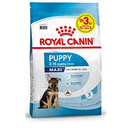 Сухой корм Royal Canin Maxi Puppy для щенков крупных пород с 2 до 15 месяцев, 15 кг