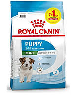 Royal Canin Mini Puppy сухой корм для щенков мелких пород до 10 месяцев, 8 кг