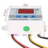 Набір для брудеру "МАКСИМУМ" з керамічною лампою - №6, фото 4