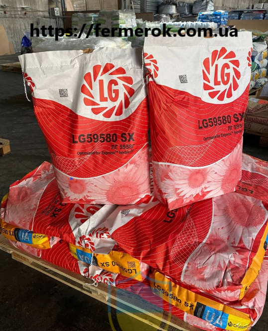 Насіння соняшника ЛГ59580 (LG59580) під гранстар