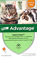 Bayer Advantage 40, 1 пипетка