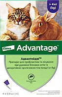 Bayer Advantage 80, 1 пипетка