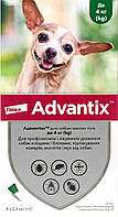 Elanco Advantix для собак до 4 кг, 1 піпетка