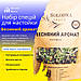 Набір спецій для настоянки Весняний аромат (Solodka) на 3 л, фото 3
