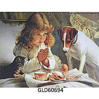 Картина для раскраски по номерам Алмазная 30*40 GLD60690 (девочка с собакой, холст без рамки)