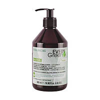 Шампунь Себорегулятор Every Green Sebum Balance Shampoo, 500 мл