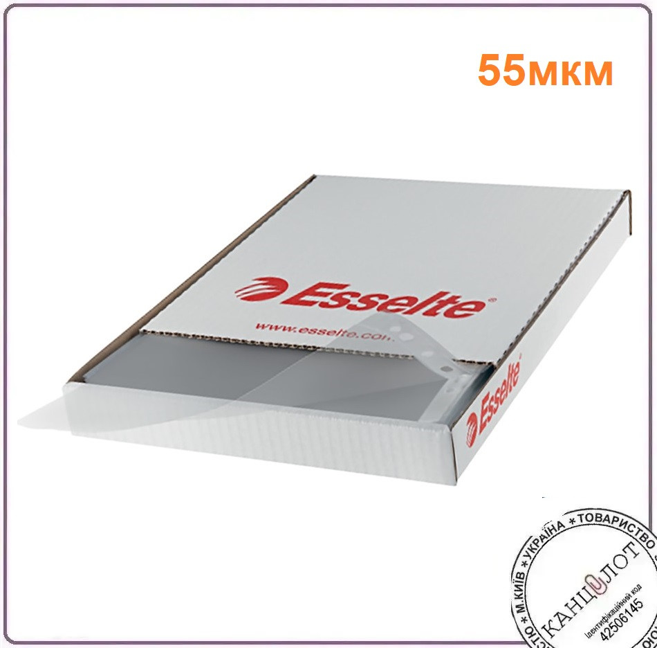 Файли ESSELTE  STANDART А4, PP 55мкм, в упаковці 100шт (56066)