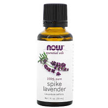 Ефірна олія лаванди широколистої (Spike Lavender) NOW Foods 30 мл