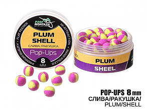 Бойли POP UPS - Слива/Ракушка (Plum/Shell) 8мм