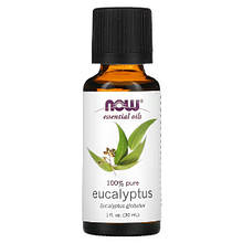 Ефірна олія евкаліпту (Eucalyptus) NOW Foods 30 мл