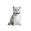 Нашийник для котів нейлоновий WAUDOG Nylon з QR паспортом, малюнок "Colors of freedom", пластиковий фастекс,, фото 3