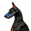 Намордник для собак WAUDOG Nylon, малюнок "Colors of freedom", пластиковий фастекс, розмір XL, О 35-43 см, фото 4
