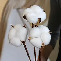 Бавовна біла 1 шт.