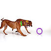 Тренувальний снаряд для собак PULLER Midi, діаметр 19,5 см, фото 4