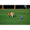 Тренувальний снаряд для собак PULLER Maxi, діаметр 30 см, фото 7