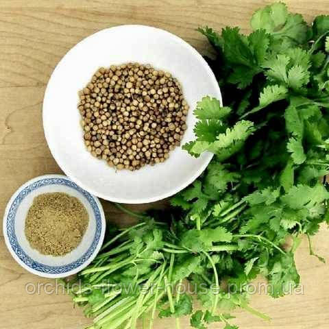 Насіння Корiандр Янтар кінза (4г)