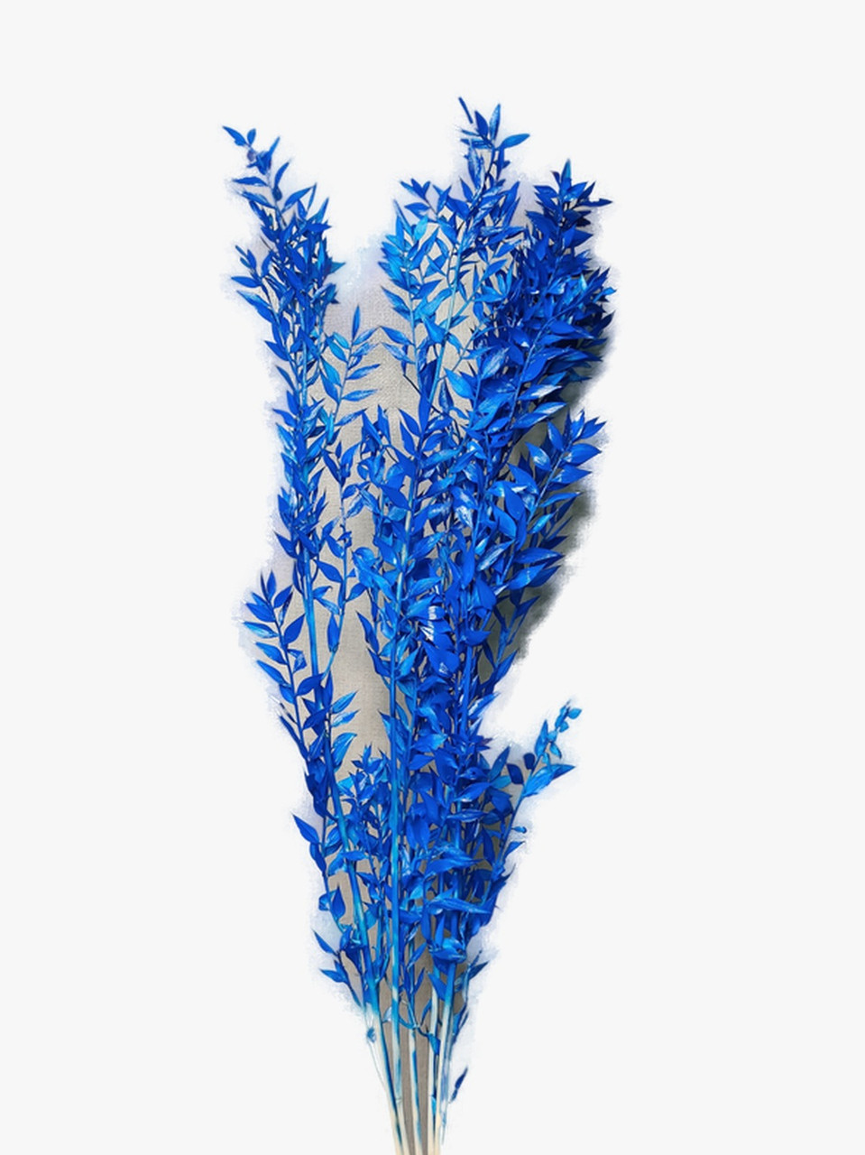 Рускус синій (1шт), фото 1