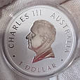 Срібна монета Кукабарра 2024, Австралія, 1 долар, 1 унція срібла 9999, фото 5