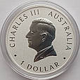Срібна монета Кукабарра 2024, Австралія, 1 долар, 1 унція срібла 9999, фото 6