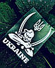 Патріотична наліпка Україна Ukraine Козак з Шаблями і Тризуб на авто, скло, шафу, ноутбук і таке інше, 15х11 см, біла, фото 4