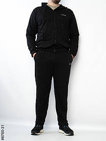 6700-31 Спортивний костюм на блискавці чоловічий пряма штанина двонитка батал (3 од: 56,58,60)