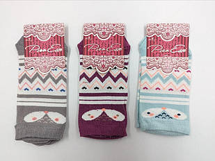 Жіночі шкарпетки Pier Esse короткі бавовна мордочки і геометричні фігури 36-40 12 пар/уп мікс кольорів