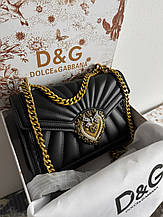 ⭐️ Dolce & Gabbana Premium