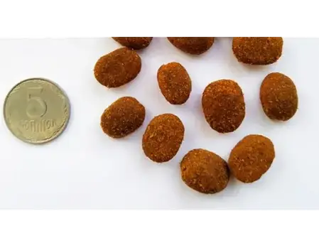 Baskerville Klein Rassen сухий корм для собак малих порід 20 кг, фото 2