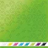 Папка - бокс на резинці LEITZ WOW на 150арк., зелений металік (4599-00-54), фото 4