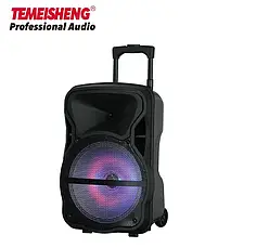 Акустична колонка Temeisheng A12-12 один мікрофон 12",в комплекті стойка, фото 4