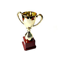 Кубок для нагородження Н12-060-70  (sns)