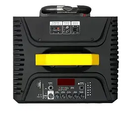 Temeisheng QX-1209 два мікрофони, корпус дерево | Професійна активна акустична система, фото 4