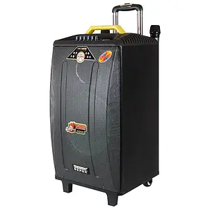 Temeisheng QX-1209 два мікрофони, корпус дерево | Професійна активна акустична система, фото 2