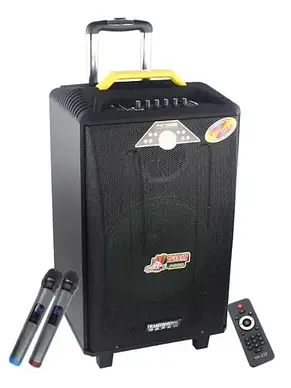 Temeisheng QX-1209 два мікрофони, корпус дерево | Професійна активна акустична система, фото 1
