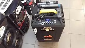 Temeisheng QX-1209 два мікрофони, корпус дерево | Професійна активна акустична система, фото 4