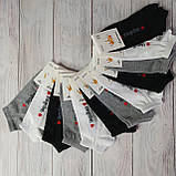 Шкарпетки жіночі Limerence укорочені 23-25 (36-40 по взуттю) Українка | 12 пар, фото 3