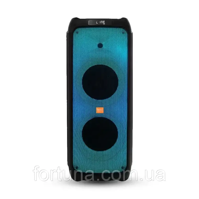 Колонка Temeisheng FG210-08 (VD300) 300 Вт, два мікрофони