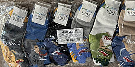 Шкарпетки для хлопчиків оптом, Aura.via, 24/27-32/35 рр., арт. GZF9717