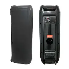 Temeisheng FG210-08 (VD300) 300 Вт, два мікрофони, 2*10 | Потужна бездротова колонка Bluetooth, фото 3