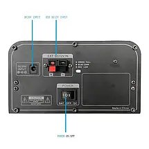 Temeisheng FG210-08 (VD300) 300 Вт, два мікрофони, 2*10 | Потужна бездротова колонка Bluetooth, фото 5
