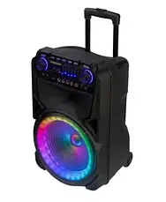 Temeisheng SK-012, два мікрофони, 12" Потужна бездротова колонка Bluetooth, фото 4