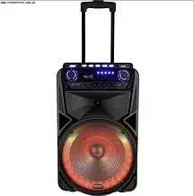 Temeisheng SK-012, два мікрофони, 12" Потужна бездротова колонка Bluetooth, фото 5
