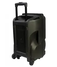 Temeisheng SK-012, два мікрофони, 12" Потужна бездротова колонка Bluetooth, фото 6