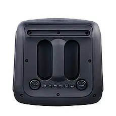 Портативна колонка Temeisheng 6828 сабвуфер з радіомікрофонами 50W+LED підсвічування, фото 5