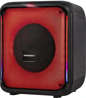 Портативна колонка Temeisheng 6828 сабвуфер з радіомікрофонами 50W+LED підсвічування, фото 3