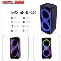 Temeisheng 6830-08 два мікрофони Потужна бездротова колонка Bluetooth, фото 6