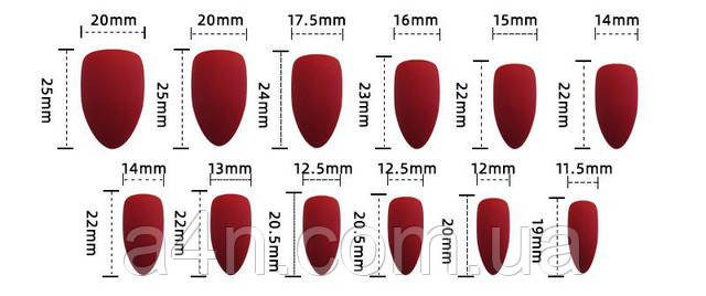 Накладные ногти - Интернет-магазин A4N Размеры накладных ногтей